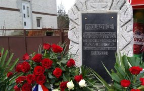 Sibinjske i Vrbske žrtve